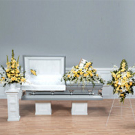 gallery7
