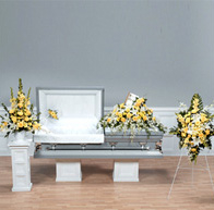 gallery7